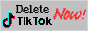 deletetiktok1.png