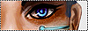 archived 88x31 button #54241