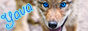 archived 88x31 button #54244