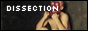 dissection.png