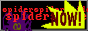 spiderblinkie.png