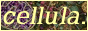 cellula_2.png