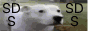 homeforangels.png