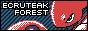 ecruteakforest.png
