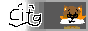 citg.png