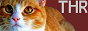archived 88x31 button #54464