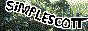 simplescott.gif