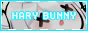 4t12km.png