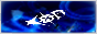 xon-button.gif