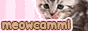 meowcammi.gif