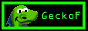 geckof.gif