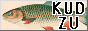 kudzu-button.png