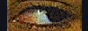 make-room-album-button.gif