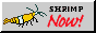 bigyellowrilif.png