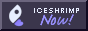 iceshrimpnow.png