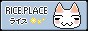 YFTtfyRFu8-88.jpeg