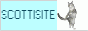 0144-scottisite.png