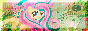 c13fcc89e08337fbb906a355fff16a1752b65a4f.pnj