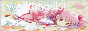 sweetangelsxoxo.png