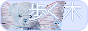 rM1fTex.png
