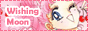 moonbutton_16.gif