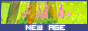 archived 88x31 button #55285