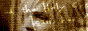 torchan.gif