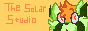 thesolarstudio.gif