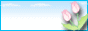 bfly.gif