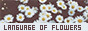 archived 88x31 button #55421