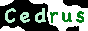 cedrus.png
