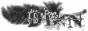 dixn.png