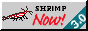 smallstriatam.png