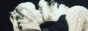 blew-88-31-banner.gif