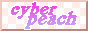cyberpeach.png