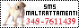 archived 88x31 button #55608