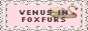 venusinfoxfurs.png