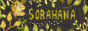 sorahana.png