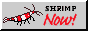 bigcrsm.png
