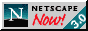 netscape_now!.png