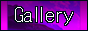 GalleryActive.png