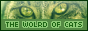 archived 88x31 button #55935