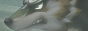 TP6.png