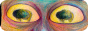 iland.png