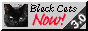 blackcats.png