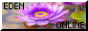 EDEN%20ONLINE%20BUTTON%203.png