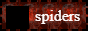 spiders_2.png