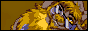 xanjebutton.gif