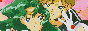 gay.png