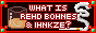 WIRBAI%20Button.png